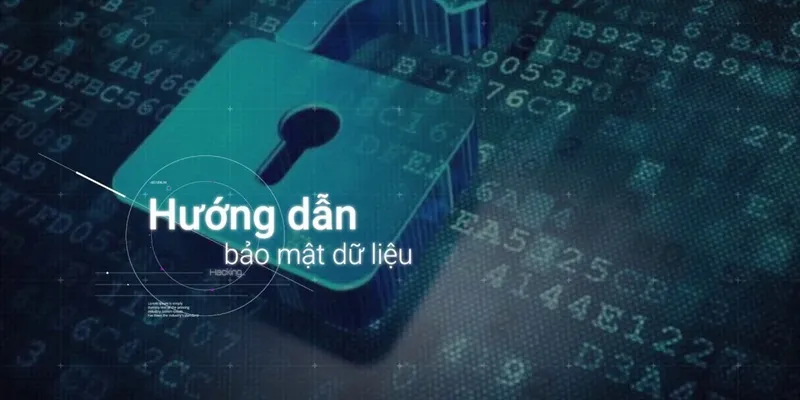 Các lý do nên lựa chọn nhà cái kubet